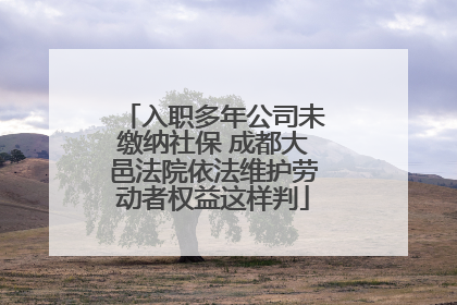 入职多年公司未缴纳社保 成都大邑法院依法维护劳动者权益这样判