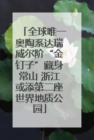 全球唯一奥陶系达瑞威尔阶“金钉子”藏身常山 浙江或添第二座世界地质公园