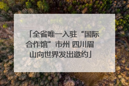 全省唯一入驻“国际合作馆”市州 四川眉山向世界发出邀约