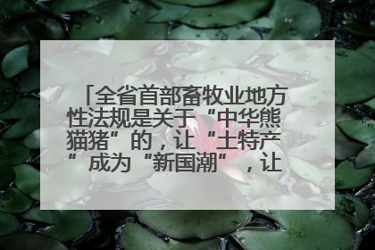 全省首部畜牧业地方性法规是关于“中华熊猫猪”的，让“土特产”成为“新国潮”，让“农产品”升格为“城市IP”