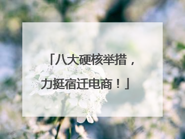 八大硬核举措，力挺宿迁电商！