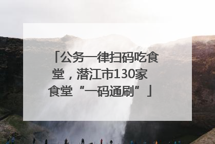 公务一律扫码吃食堂，潜江市130家食堂“一码通刷”