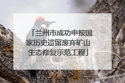 兰州市成功申报国家历史遗留废弃矿山生态修复示范工程