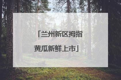 兰州新区拇指黄瓜新鲜上市