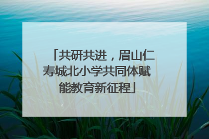 共研共进，眉山仁寿城北小学共同体赋能教育新征程