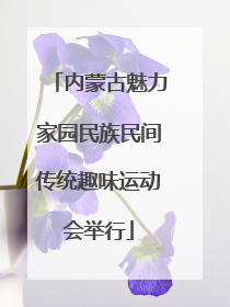 内蒙古魅力家园民族民间传统趣味运动会举行