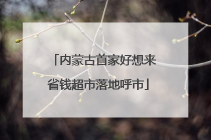 内蒙古首家好想来省钱超市落地呼市