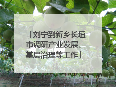 刘宁到新乡长垣市调研产业发展、基层治理等工作