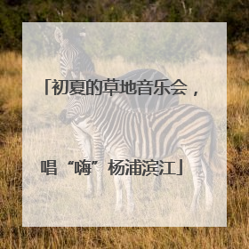 初夏的草地音乐会，唱“嗨”杨浦滨江