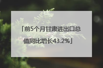 前5个月甘肃进出口总值同比增长43.2%