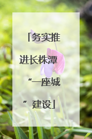务实推进长株潭“一座城”建设