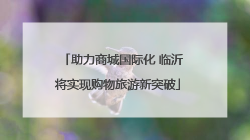 助力商城国际化 临沂将实现购物旅游新突破