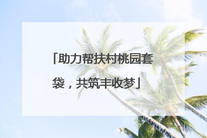 助力帮扶村桃园套袋，共筑丰收梦