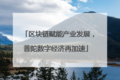 区块链赋能产业发展，普陀数字经济再加速
