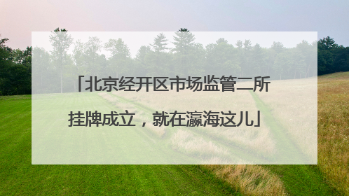 北京经开区市场监管二所挂牌成立，就在瀛海这儿
