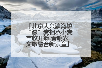 北京大兴瀛海镇“瀛”麦相承小麦丰收开镰 奏响农文旅融合新乐章