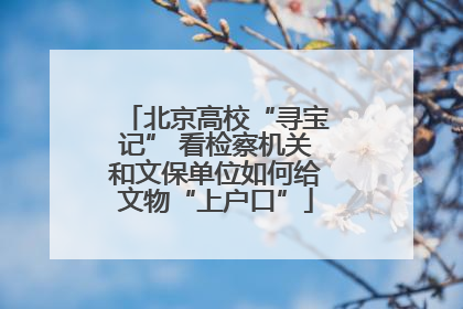 北京高校“寻宝记” 看检察机关和文保单位如何给文物“上户口”