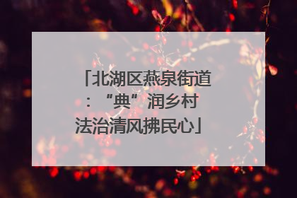 北湖区燕泉街道：“典”润乡村 法治清风拂民心