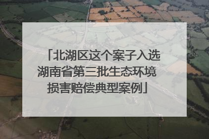 北湖区这个案子入选湖南省第三批生态环境损害赔偿典型案例
