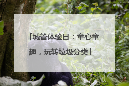 城管体验日：童心童趣，玩转垃圾分类