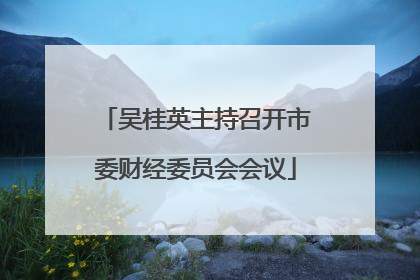 吴桂英主持召开市委财经委员会会议