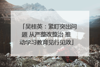 吴桂英：紧盯突出问题 从严整改整治 推动学习教育见行见效