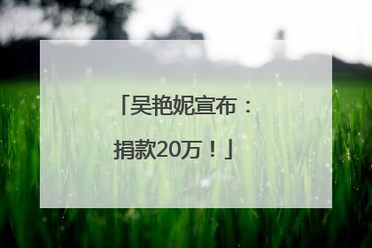 吴艳妮宣布：捐款20万！