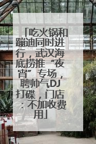 吃火锅和蹦迪同时进行，武汉海底捞推“夜宵”专场，聘帅气DJ打碟，门店：不加收费用