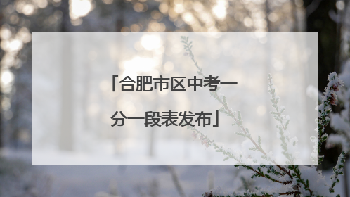合肥市区中考一分一段表发布