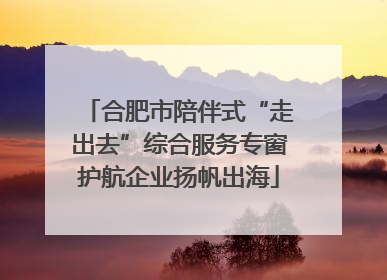 合肥市陪伴式“走出去”综合服务专窗护航企业扬帆出海