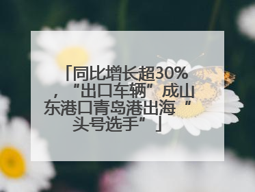 同比增长超30%，“出口车辆”成山东港口青岛港出海“头号选手”