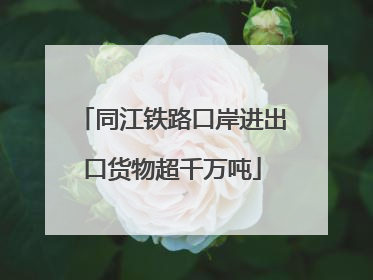同江铁路口岸进出口货物超千万吨