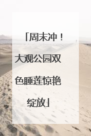 周末冲！大观公园双色睡莲惊艳绽放