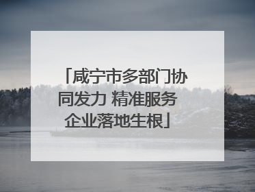 咸宁市多部门协同发力 精准服务企业落地生根