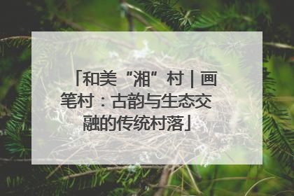 和美“湘”村｜画笔村：古韵与生态交融的传统村落