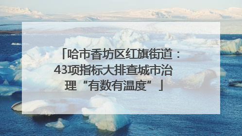 哈市香坊区红旗街道：43项指标大排查城市治理“有数有温度”
