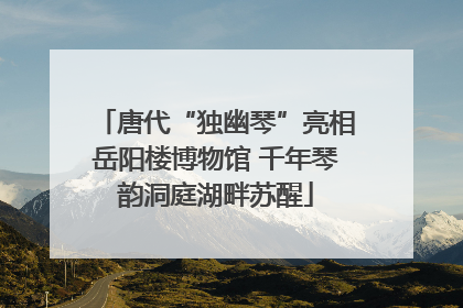 唐代“独幽琴”亮相岳阳楼博物馆 千年琴韵洞庭湖畔苏醒