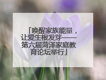 唤醒家族能量，让爱生根发芽——第六届菏泽家庭教育论坛举行