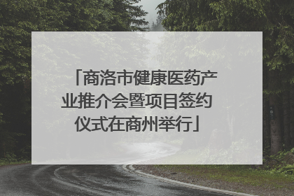 商洛市健康医药产业推介会暨项目签约仪式在商州举行