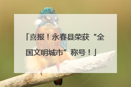 喜报！永春县荣获“全国文明城市”称号！