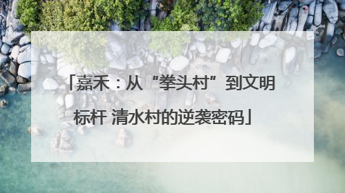 嘉禾：从“拳头村”到文明标杆 清水村的逆袭密码