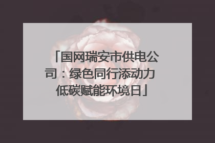 国网瑞安市供电公司：绿色同行添动力 低碳赋能环境日