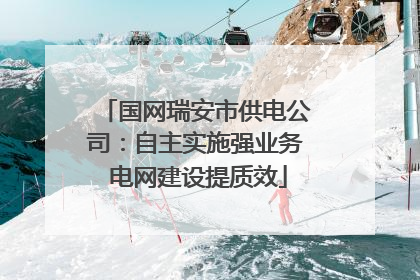 国网瑞安市供电公司：自主实施强业务 电网建设提质效