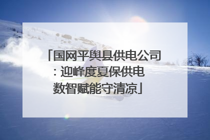 国网平舆县供电公司：迎峰度夏保供电  数智赋能守清凉
