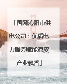 国网沁阳市供电公司：优质电力服务赋能凉皮产业飘香
