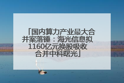 国内算力产业最大合并案落锤：海光信息拟1160亿元换股吸收合并中科曙光