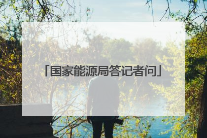 国家能源局答记者问