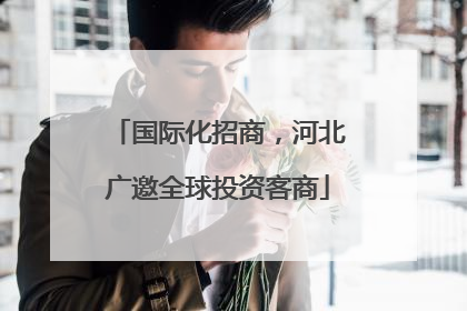 国际化招商，河北广邀全球投资客商