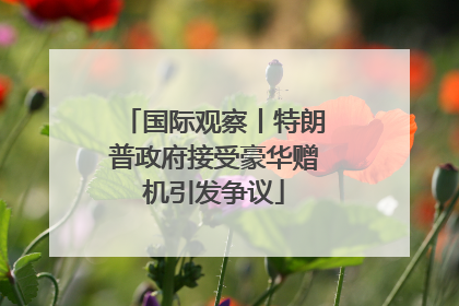 国际观察丨特朗普政府接受豪华赠机引发争议