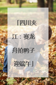 四川夹江：赛龙舟抢鸭子迎端午